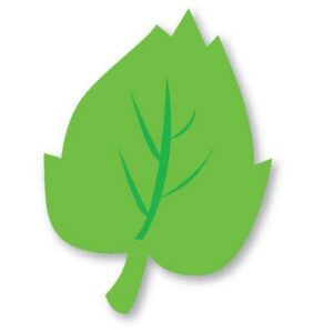 Ilustração de folha verde simples com nervuras desenhadas em tom mais escuro, estilo de molde para atividades escolares. 