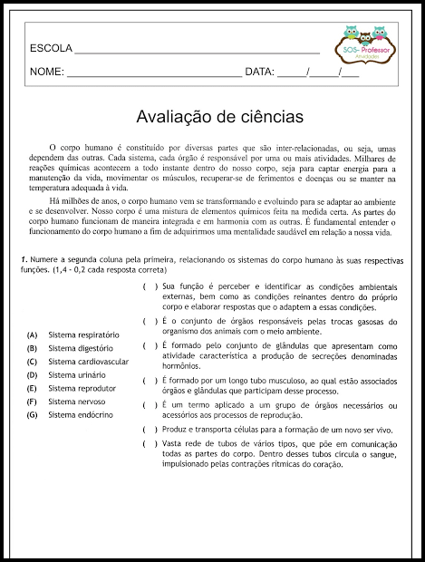 3 cortas