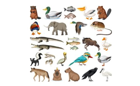 Atividades sobre Animais: Ideias e modelos em PDF Arte grafica de diversos tipos de animais Imagem Freepik e1682639138239