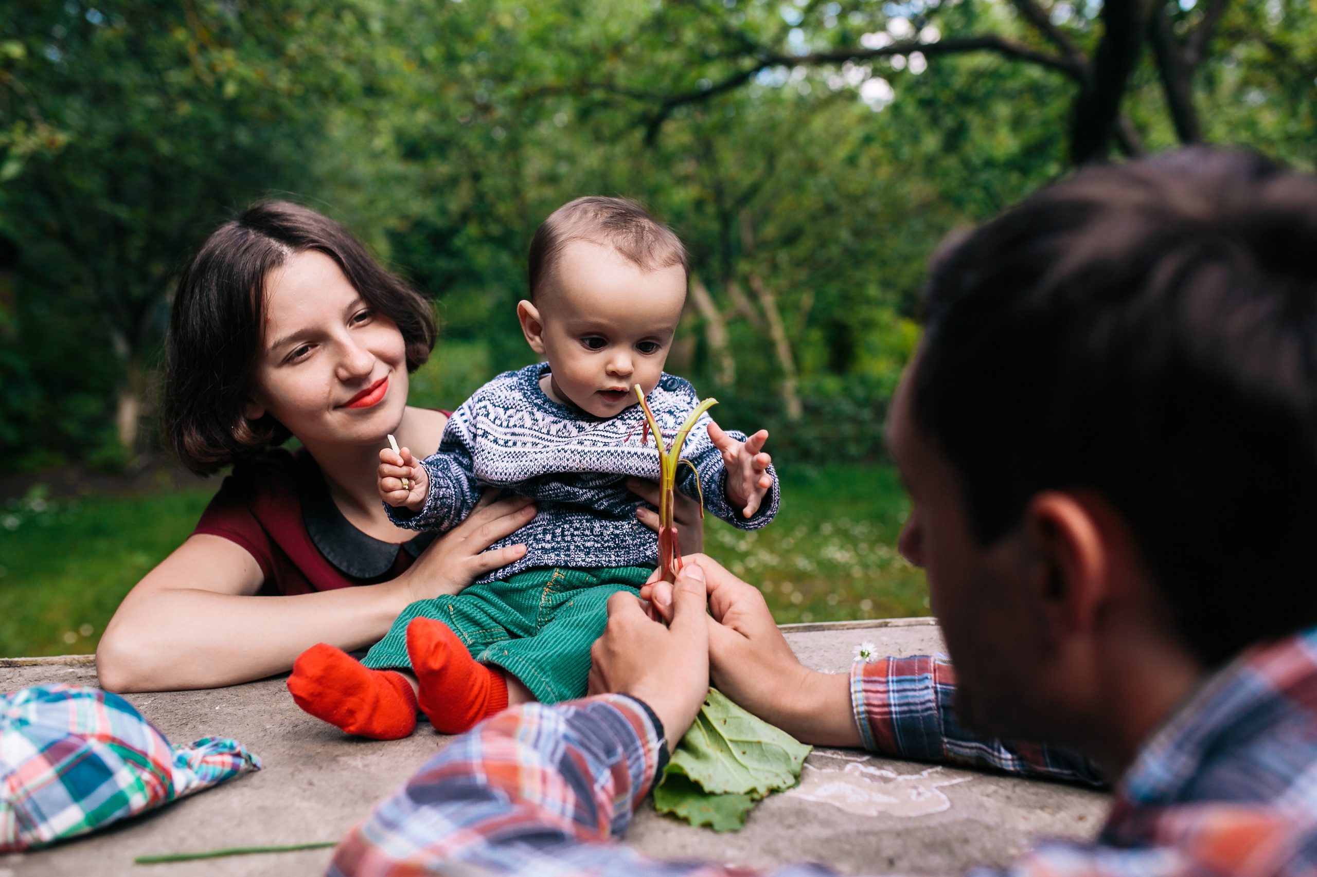 Familia brinca com bebê em parque mostrando folhas de arvores a ele