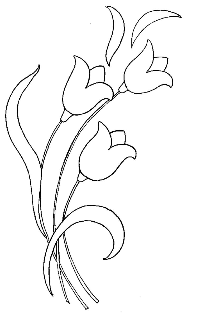 Imagem de algumas flores para desenhar e pintar