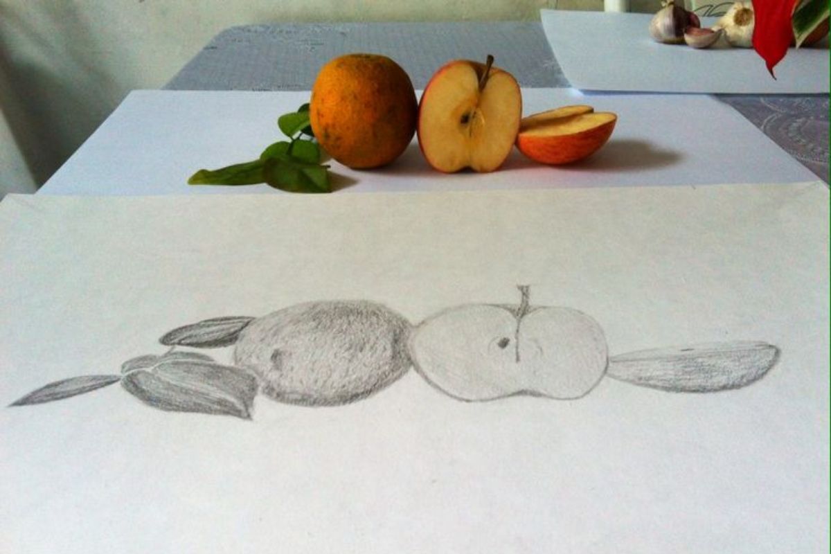 Desenho de Observação na Educação Infantil 2024 - frutas na mesa 